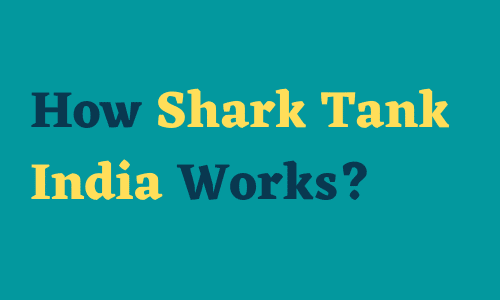 How Shark Tank India Works
