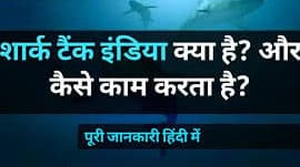 shark tank india kya hai in hindi