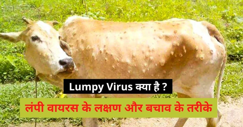 Lumpy Virus